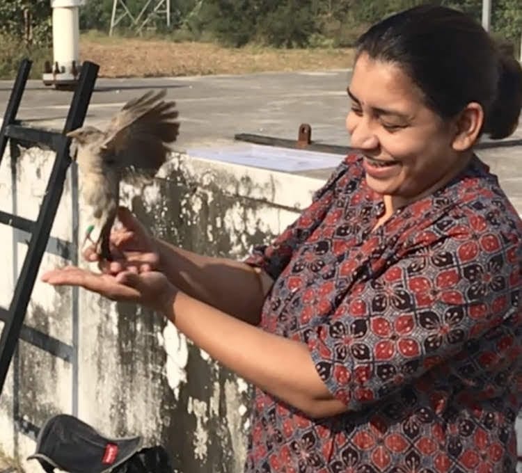 Manjari releasing a Jungle Babbler